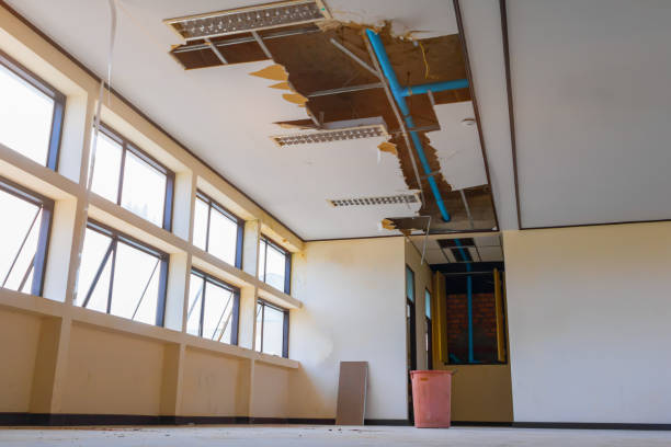 Best Water damage restoration experts  in Avimor, ID