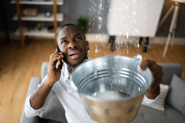 Best Professional water damage repair  in Avimor, ID