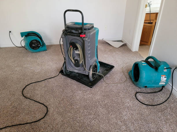 Best Carpet water damage restoration  in Avimor, ID