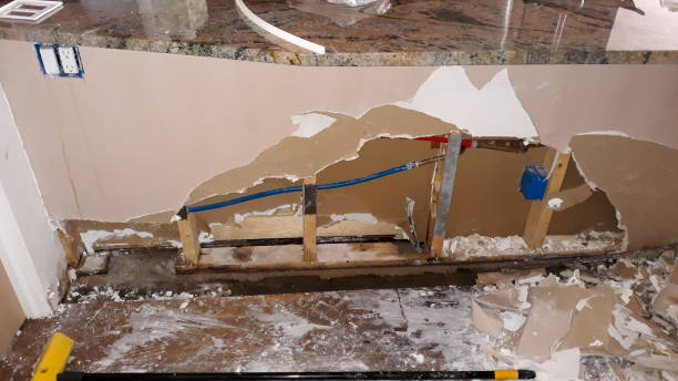 Best Flood damage cleanup  in Avimor, ID
