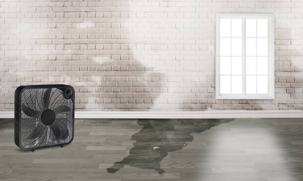 Best Commercial water damage restoration  in Avimor, ID
