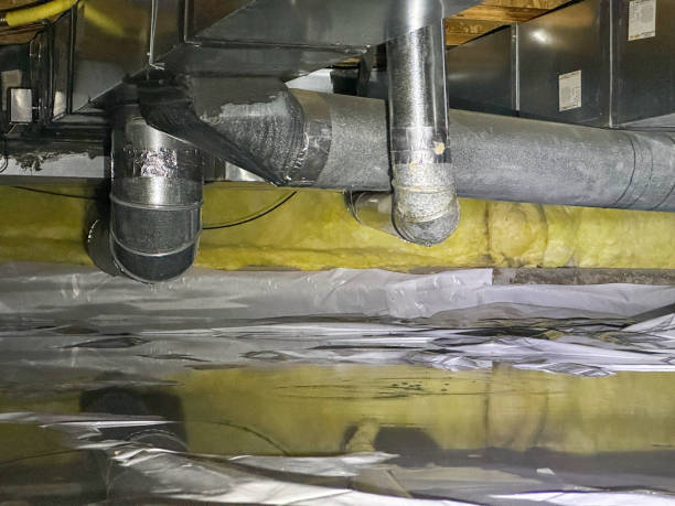 Best Flood restoration services  in Avimor, ID