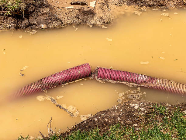  Avimor, ID Water damage restoration Pros