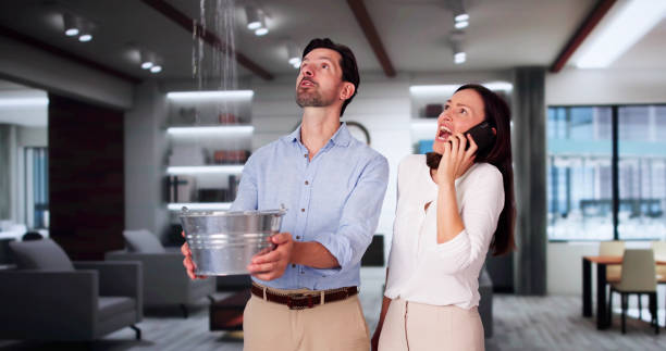 Best Ceiling water damage repair  in Avimor, ID