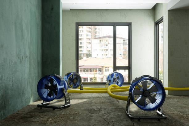 Water damage restoration insurance claims in ID