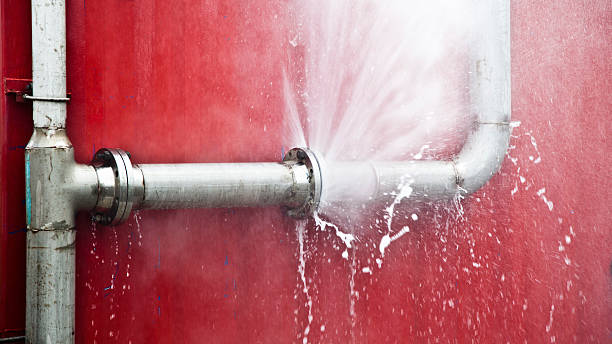 Best Mold removal after water damage  in Avimor, ID