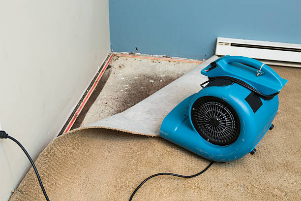 Best Sewage cleanup and water damage restoration  in Avimor, ID